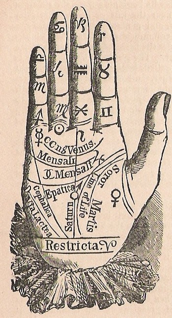 Palmist