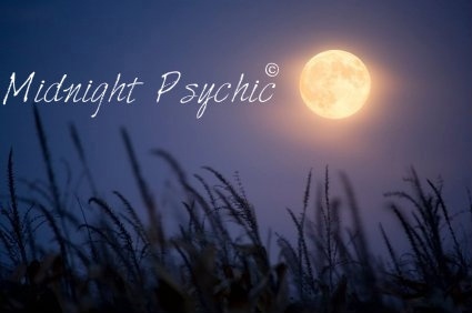 midnight psychic